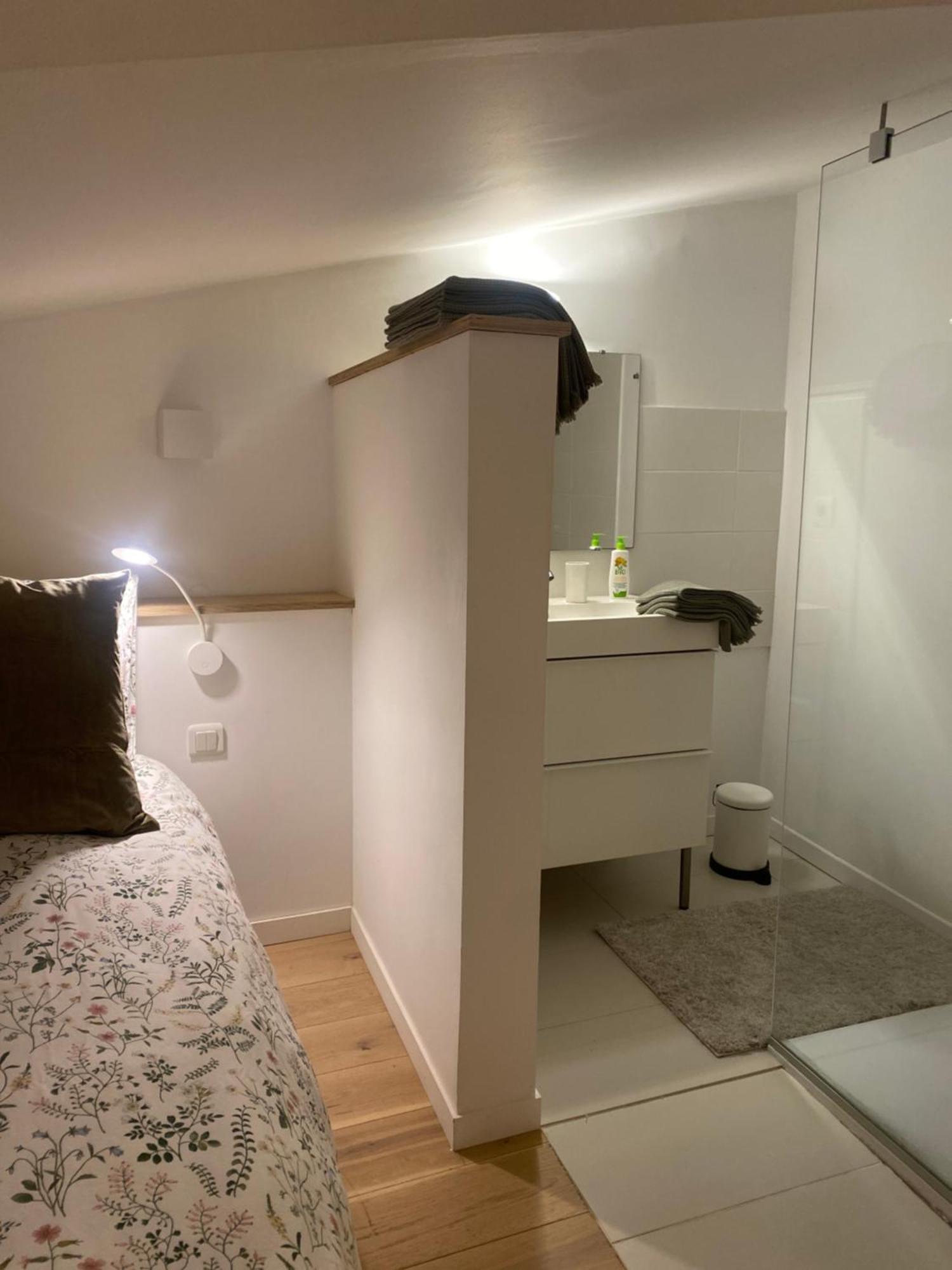 Apartament Duplex Aux Carmes Tuluza Zewnętrze zdjęcie