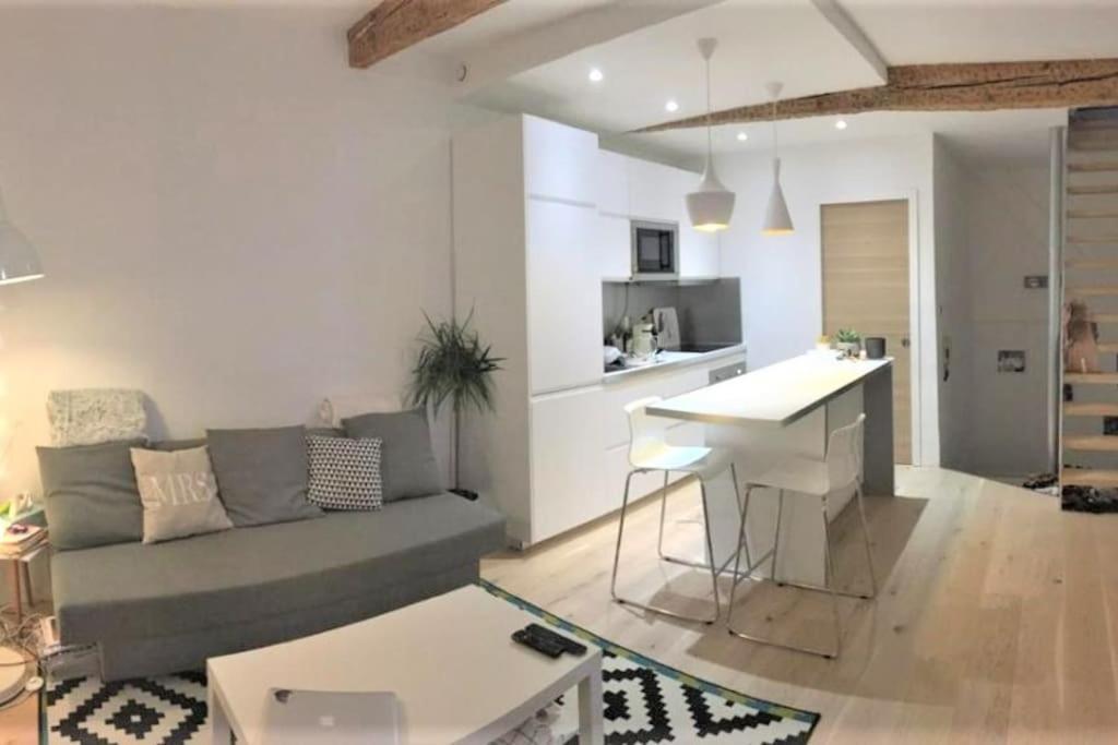 Apartament Duplex Aux Carmes Tuluza Zewnętrze zdjęcie